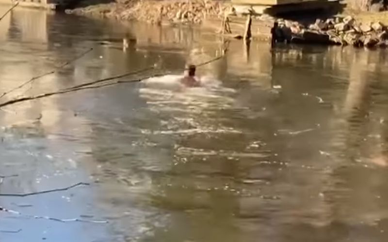 Held redt kat uit ijswater
